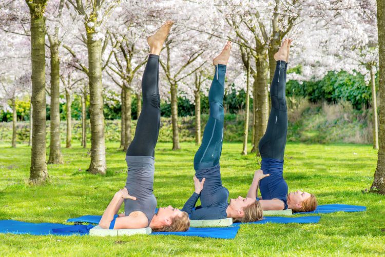 Yoga group practicing salamba sarvangasana (shoulder stand) in a blooming spring park